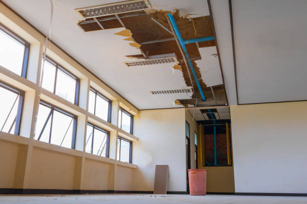Best Carpet water damage restoration  in Concord, MI