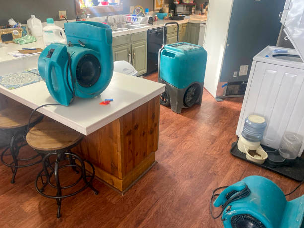 Best 24/7 water damage repair  in Concord, MI
