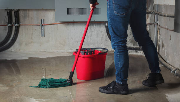 Best Basement water damage restoration  in Concord, MI