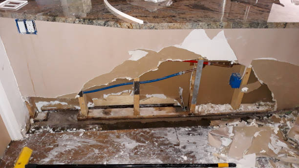 Best Residential water damage restoration  in Concord, MI