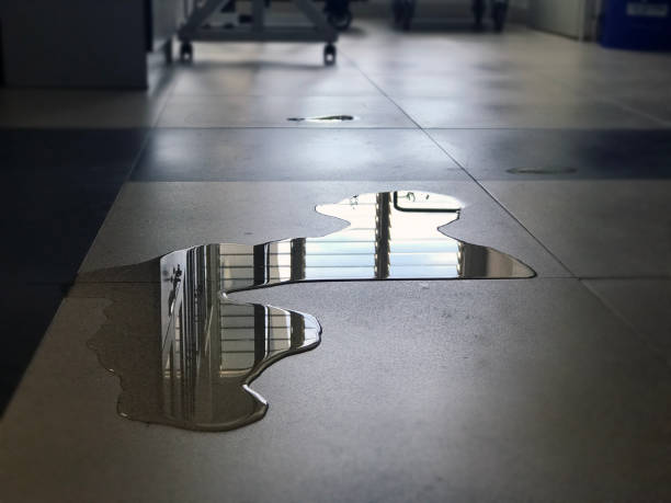 Best Local water damage restoration  in Concord, MI