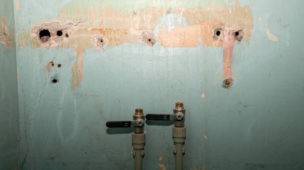 Best Ceiling water damage repair  in Concord, MI