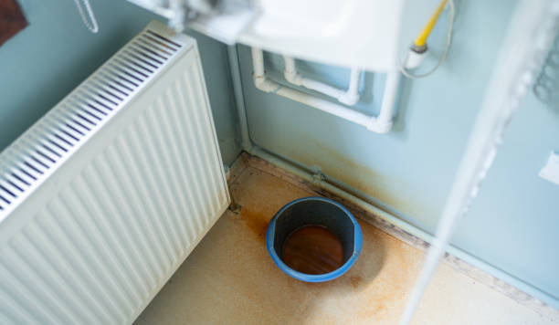 Best Water damage cleanup near me  in Concord, MI