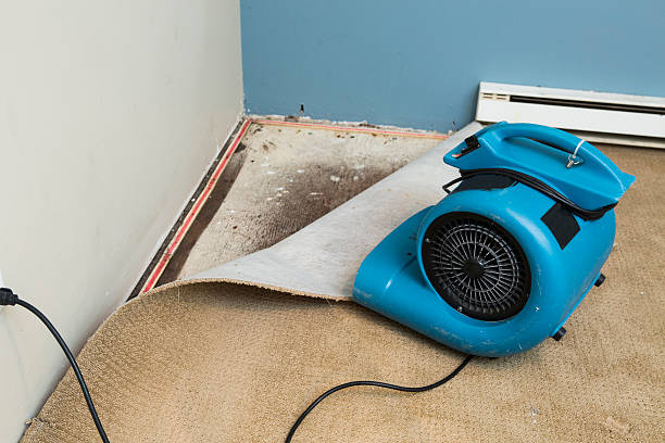 Best Sewage cleanup and water damage restoration  in Concord, MI